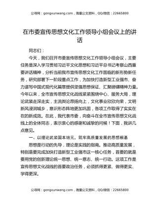 在市委宣传思想文化工作领导小组会议上的讲话
