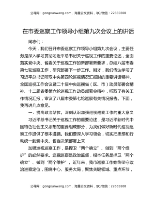 在市委巡察工作领导小组第九次会议上的讲话（2）