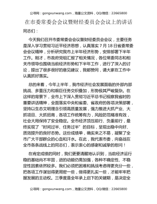 在市委常委会会议暨财经委员会会议上的讲话