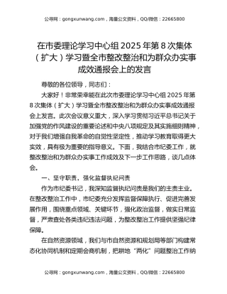 在市委理论学习中心组2025年第8次集体（扩大）学习暨全市整改整治和为群众办实事成效通报会上的发言