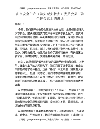 在市安全生产（防灾减灾救灾）委员会第三次全体会议上的讲话