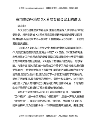 在市生态环境局XX分局专题会议上的讲话