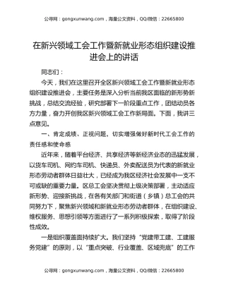 在新兴领域工会工作暨新就业形态组织建设推进会上的讲话