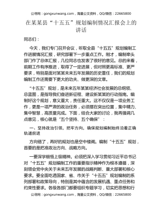 在某某县“十五五”规划编制情况汇报会上的讲话