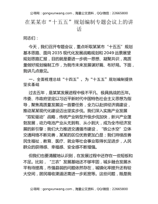 在某某市“十五五”规划编制专题会议上的讲话