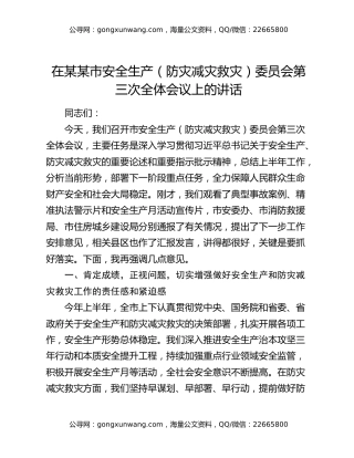 在某某市安全生产（防灾减灾救灾）委员会第三次全体会议上的讲话