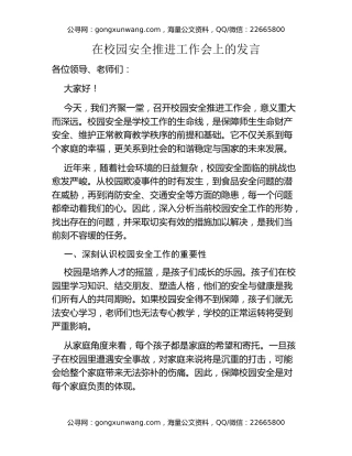 在校园安全推进工作会上的发言