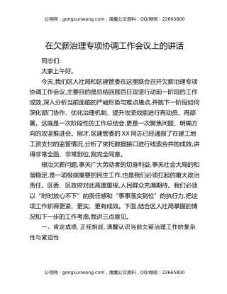 在欠薪治理专项协调工作会议上的讲话