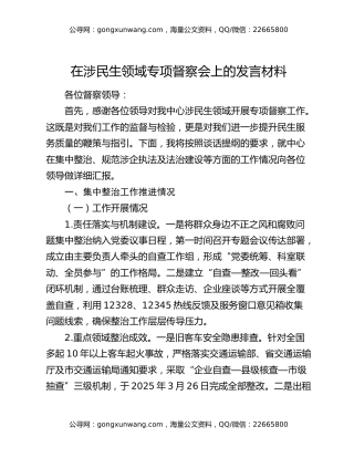 在涉民生领域专项督察会上的发言材料