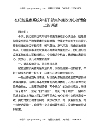 在纪检监察系统年轻干部集体廉政谈心谈话会上的讲话