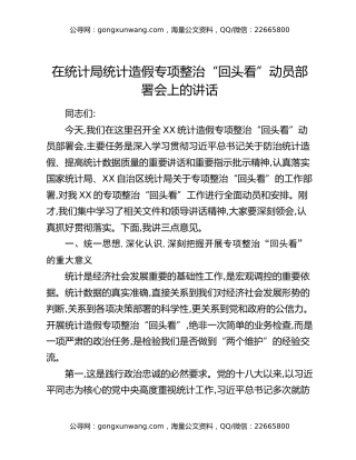 在统计局统计造假专项整治“回头看”动员部署会上的讲话