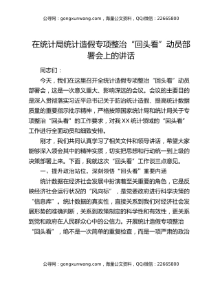 在统计局统计造假专项整治“回头看”动员部署会上的讲话（2）