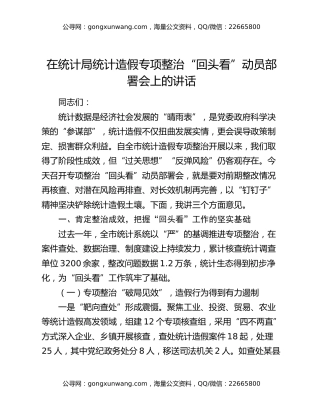在统计局统计造假专项整治“回头看”动员部署会上的讲话（3）