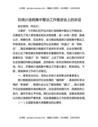 在统计造假集中整治工作推进会上的讲话