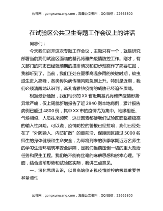 在试验区公共卫生专题工作会议上的讲话