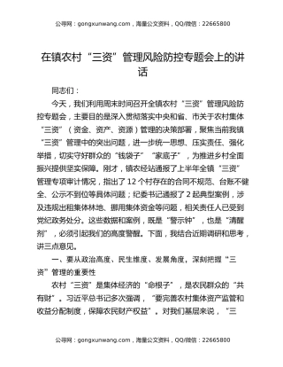 在镇农村“三资”管理风险防控专题会上的讲话