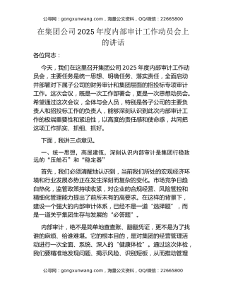 在集团公司2025年度内部审计工作动员会上的讲话