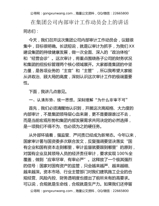 在集团公司内部审计工作动员会上的讲话