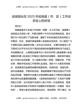 巡视组长在2025年巡视县（市、区）工作动员会上的讲话