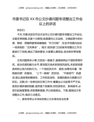 市委书记在XX市公文抄袭问题专项整治工作会议上的讲话