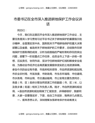 市委书记在全市深入推进耕地保护工作会议讲话