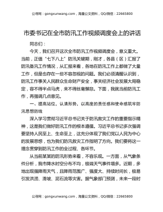 市委书记在全市防汛工作视频调度会上的讲话