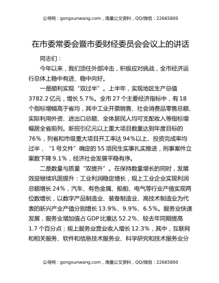 市委书记在市委常委会暨市委财经委员会会议上的讲话