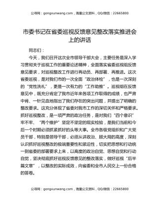 市委书记在省委巡视反馈意见整改落实推进会上的讲话