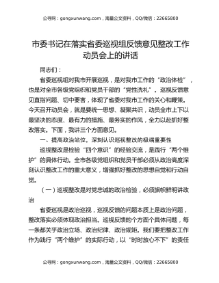 市委书记在落实省委巡视组反馈意见整改工作动员会上的讲话