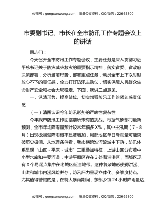 市委副书记、市长在全市防汛工作专题会议上的讲话