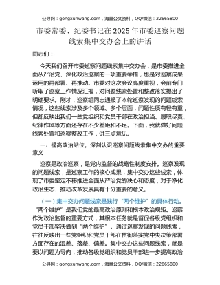 市委常委、纪委书记在2025年市委巡察问题线索集中交办会上的讲话