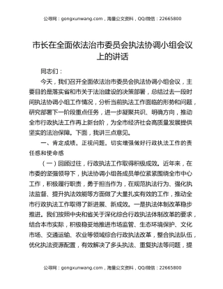 市长在全面依法治市委员会执法协调小组会议上的讲话