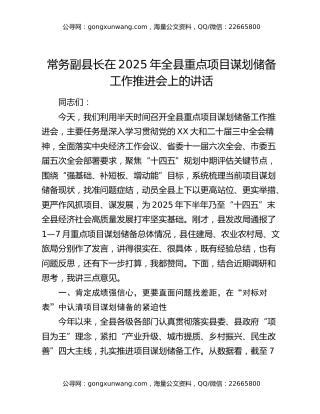 常务副县长在2025年全县重点项目谋划储备工作推进会上的讲话