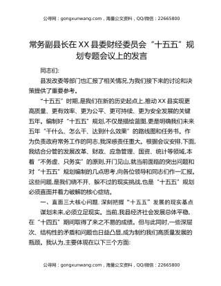 常务副县长在XX县委财经委员会“十五五”规划专题会议上的发言