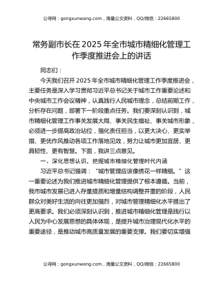 常务副市长在2025年全市城市精细化管理工作季度推进会上的讲话