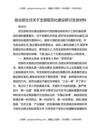 政治部主任关于支部规范化建设研讨发言材料