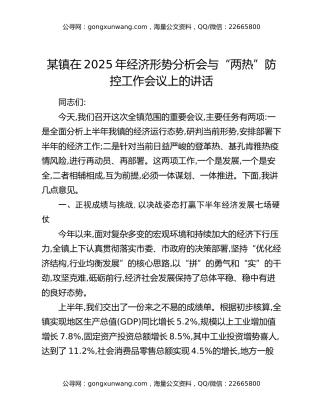 某镇在2025年经济形势分析会与“两热”防控工作会议上的讲话