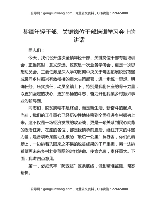 某镇年轻干部、关键岗位干部培训学习会上的讲话