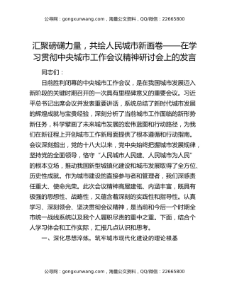 汇聚磅礴力量，共绘人民城市新画卷——在学习贯彻中央城市工作会议精神研讨会上的发言