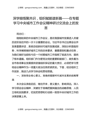 深学细悟聚共识，组织赋能谱新篇——在专题学习中央城市工作会议精神研讨交流会上的发言