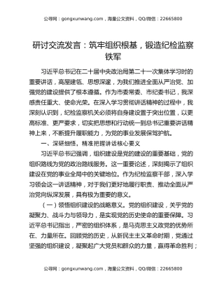 研讨交流发言：筑牢组织根基，锻造纪检监察铁军