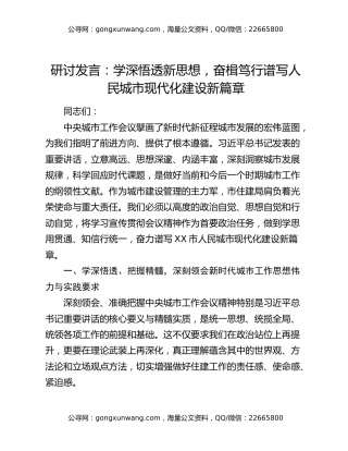 研讨发言：学深悟透新思想，奋楫笃行谱写人民城市现代化建设新篇章