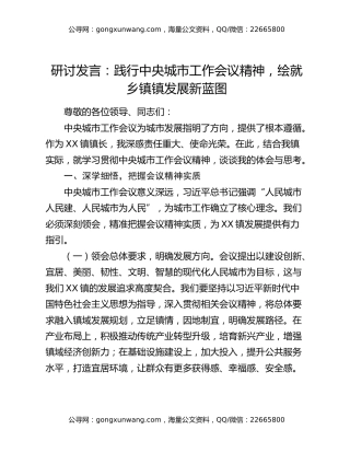 研讨发言：践行中央城市工作会议精神，绘就乡镇镇发展新蓝图