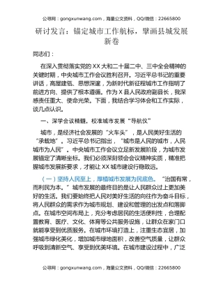 研讨发言：锚定城市工作航标，擘画县城发展新卷