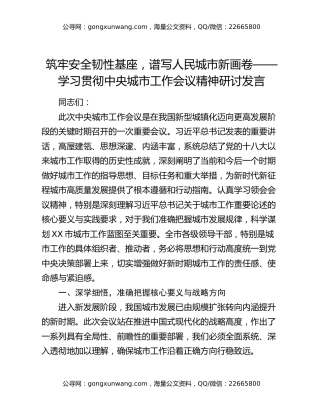 筑牢安全韧性基座，谱写人民城市新画卷——学习贯彻中央城市工作会议精神研讨发言