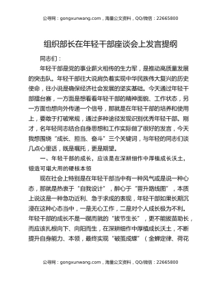 组织部长在年轻干部座谈会上发言提纲