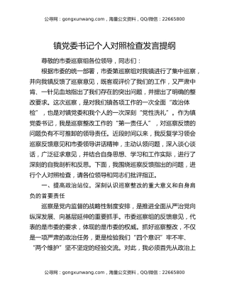 镇党委书记个人对照检查发言提纲