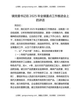 镇党委书记在2025年全镇重点工作推进会上的讲话