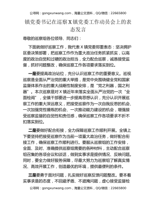 镇党委书记在巡察X镇党委工作动员会上的表态发言