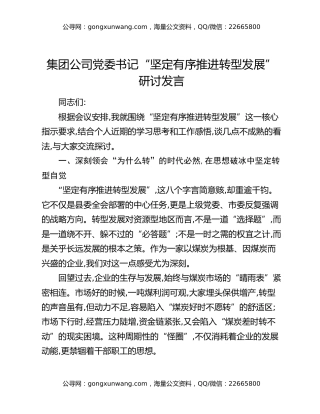 集团公司党委书记“坚定有序推进转型发展”研讨发言